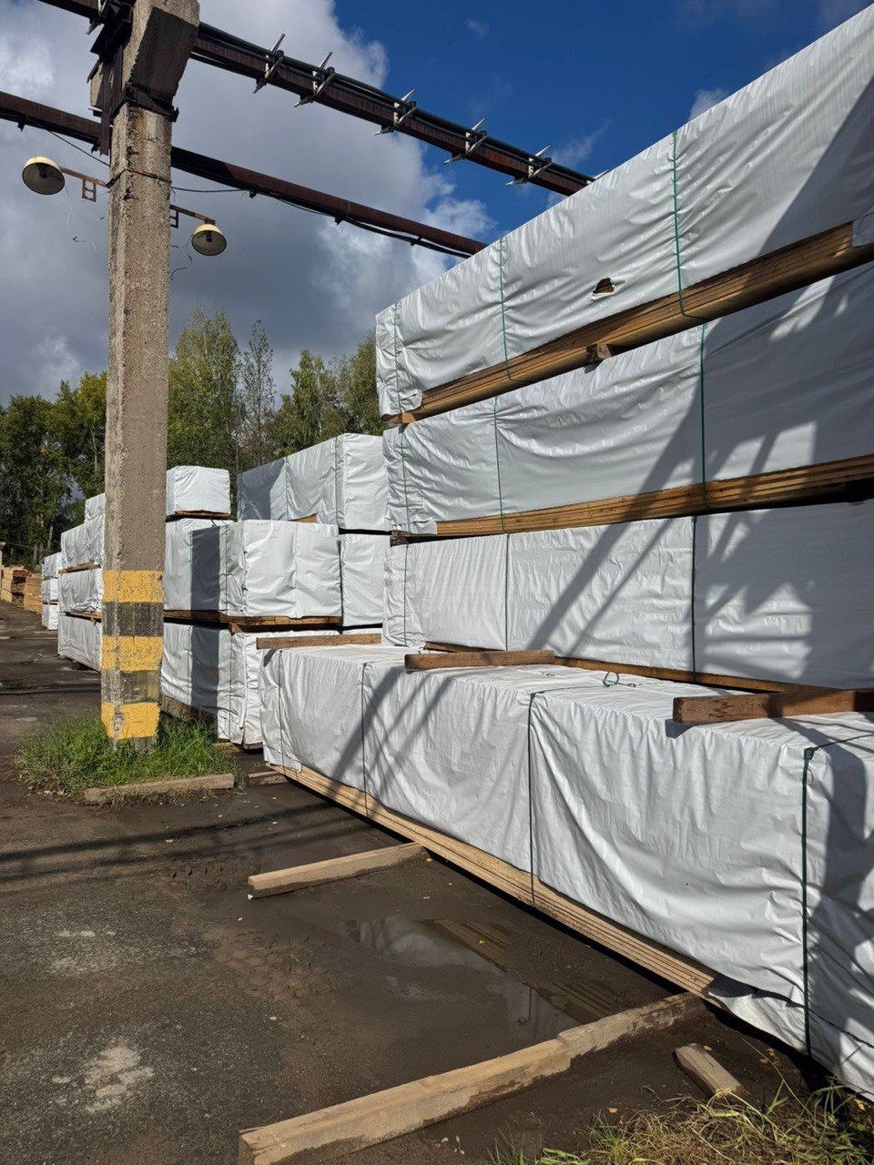 5361672190203918017 (1)