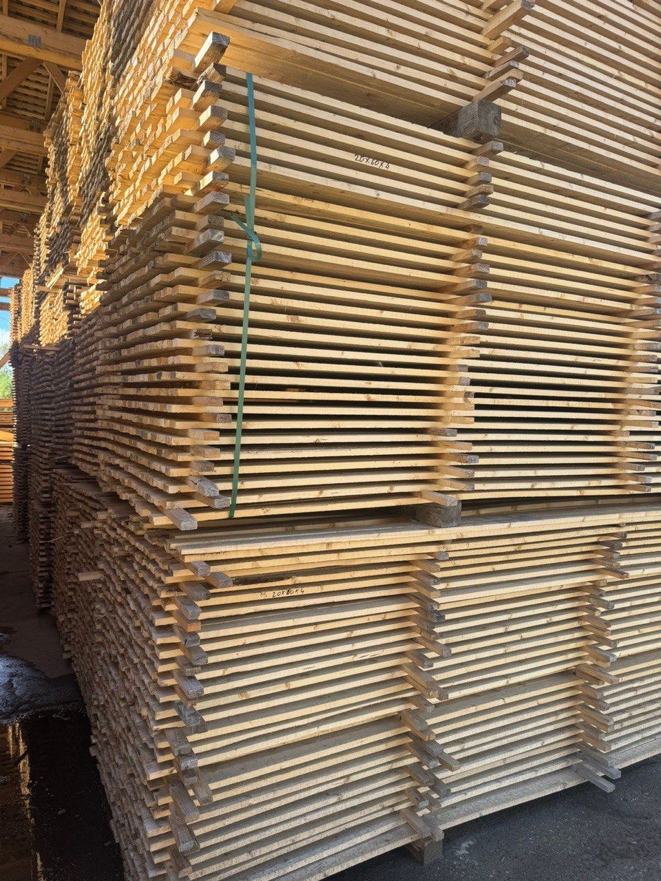 5361672190203918020 (1)